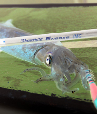 ¥¹¥ì¥Ã¥É¥Ç¥¶¥¤¥ó